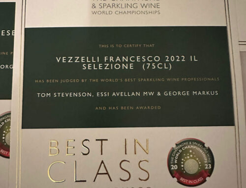 Il Lambrusco di Sorbara Rosé di Francesco Vezzelli ha vinto “BEST IN CLASS” come “BEST LAMBRUSCO SORBARA ROSÉ BRUT VINTAGE